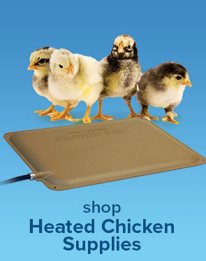 Shop Heated Chicken Supplies